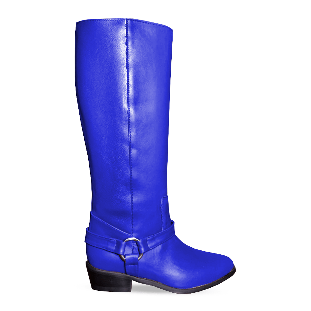 Identità Stivali DESIREE PELLE BLU
